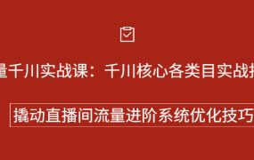 巨量千川实战系列课:千川核心各类目实战打法,撬动直播间流量进阶系统优化技巧
