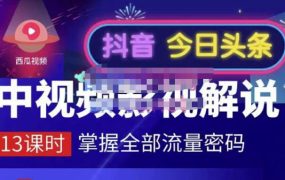 嚴如意·中视频影视解说—掌握流量密码，自媒体运营创收，批量运营账号