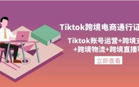 Tiktok跨境电商通行证2.0,Tiktok账号运营 跨境支付 跨境物流 跨境直播等