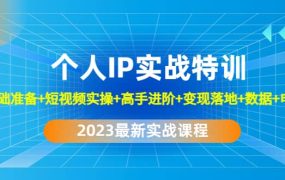2023个人IP实战特训:基础准备 短视频实操 高手进阶 变现落地 数据 电商