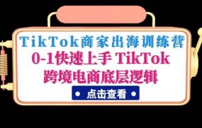 TikTok商家出海训练营：0-1快速上手 TikTok跨境电商底层逻辑(无水印)