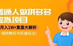 普通人做拼多多虚拟项目，复盘大解析，堪称教科书实操玩法