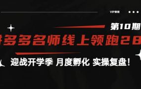 《拼多多名师线上领跑28天-第10期》迎战开学季 月度孵化 实操复盘!