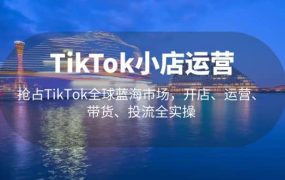 TikTok小店运营 抢占TikTok全球蓝海市场,开店、运营、带货、投流全实操
