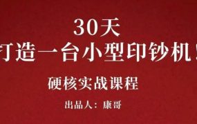 康哥30天打造一台小型印钞机：躺赚30万的项目完整复盘（视频教程）