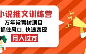 小说推文训练营,万年常青树项目,抓住风口