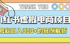 最新小红书项目-学科虚拟资料搞钱玩法,案例解析