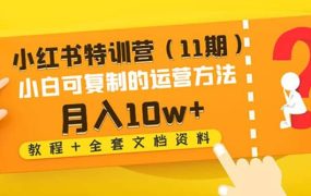 小红书特训营(11期)小白可复制的运营方法(教程 全套文档资料)