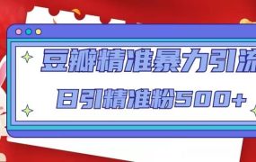 豆瓣精准暴力引流，日引精准粉500 【12视频课】