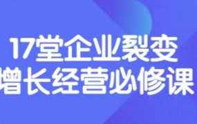 张琦《盈利增长17堂必修课》企业裂变增长的经营智慧,带你了解增长的本质