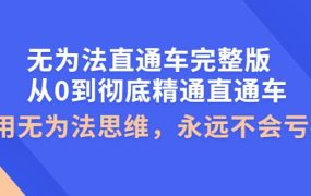 无为法直通车完整版:从0到彻底精通直通车,用无为法思维,永远不会亏损