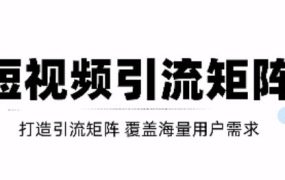 短视频引流矩阵打造,SEO 二剪裂变,效果超级好!【视频教程】