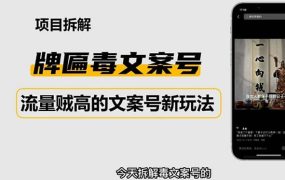 2023抖音快手毒文案新玩法,牌匾文案号,起号快易变现