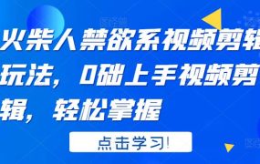 火柴人系视频剪辑玩法,0础上手视频剪辑,轻松掌握