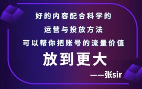 张sir账号流量增长课,告别海王流量,让你的流量更精准