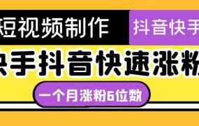 短视频油管动画-快手抖音快速涨粉:一个月粉丝突破6位数 轻松实现经济自由
