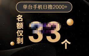 2022年全新口子,手机批量搬砖玩法,一部手机日撸2000