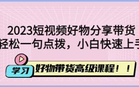 2023短视频好物分享带货,好物带货高级课程,轻松一句点拨,小白快速上手
