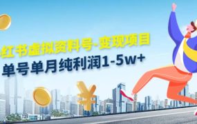 小红书虚拟资料号-变现项目:实操玩法分享