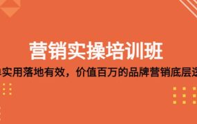 营销实操培训班:简单实用-落地有效,价值百万的品牌营销底层逻辑