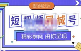 大东·短视频同城号教程,包括搭建思路,版面制作,文案内容,剪辑操作等