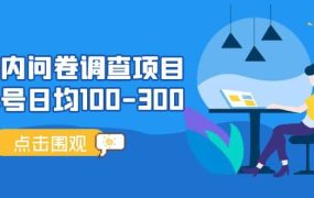 国内问卷调查项目,操作简单,时间灵活