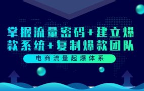 电商流量起爆体系:掌握流量密码 建立爆款系统 复制爆款团队(价值599)