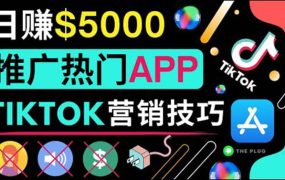 无需露脸，无需录音，无需投资，TIKTOK上传短视频，最高日入5000美元