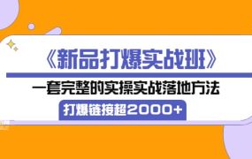 《新品打爆实战班》一套完整的实操实战落地方法,打爆链接超2000 (38节课)