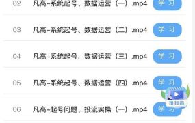 凡高直播带货入门课：直播带货常见问题、起号与投流、新规后的主播话术调整