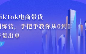 TikTok电商带货训练营，手把手教你从0到1带货出单