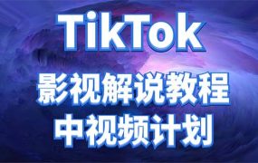 外面收费2980元的TikTok影视解说、中视频教程