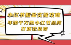 小红书掘金实操攻略,年销千万的小红书品牌打爆款指南
