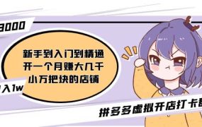 拼多多虚拟开店打卡群:入门到精通(昨日群里有小伙伴3000 )2月26更新