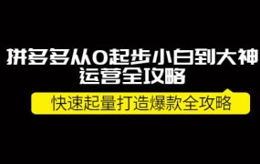 拼多多从0起步小白到大神运营全攻略