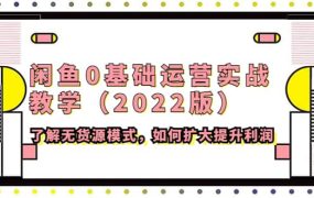 闲鱼0基础运营实战教学(2022版)了解无货源模式,如何扩大提升利润