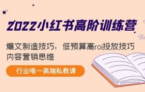 2022小红书高阶训练营：爆文制造技巧，低预算高roi投放技巧，内容营销思维