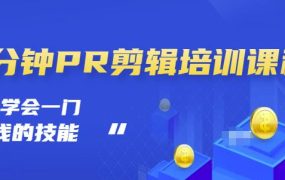 抖音视频一分钟PR剪辑培训：学会一门赚钱的技能，每节课短小精悍