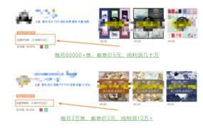 具体虚拟项目拆解,玩转短视频素材,单店月入几万 【视频课程】