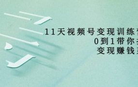 好望角·11天视频号变现训练营,从0到1打造变现赚钱系统(价值398)