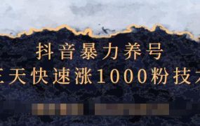 抖音暴力养号,三天快速涨1000粉技术【视频课程】