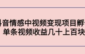 抖音情感中视频变现项目孵化
