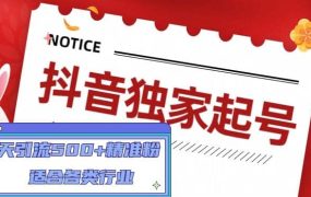 抖音独家起号,适合各类行业(9节视频课)