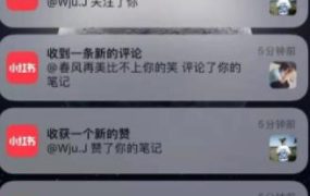 道哥说创业·男粉项目第一期，规合法合规，非常高利润的项目