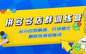 拼多多店群训练营:从小白到精通,只讲精华,剔除推销和废话