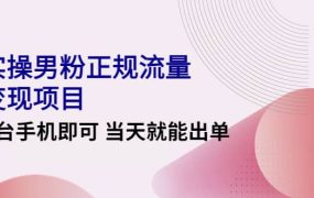 2022实操男粉正规流量变现项目，一台手机即可 当天就能出单【视频课程】