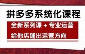 车神陪跑,拼多多系统化课程,全新系列课 专业运营给你店铺出运营方向
