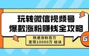 玩转微信视频号爆款涨粉赚钱全攻略，快速涨粉百万变现万元秘诀