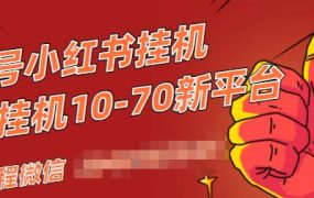 视频号小红书抖音挂机项目,小白无脑操作,按照要求来,单号每天几十米