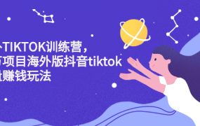 海外TIKTOK训练营,百万项目海外版抖音tiktok流量变现玩法
